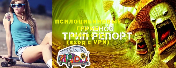 PSILOCYBIN Заволжье
