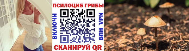 Галлюциногенные грибы MAGIC MUSHROOMS  что такое   нарко площадка наркотические препараты  Чишмы 
